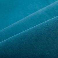 Бадди 21 Бирюза микровелюр....